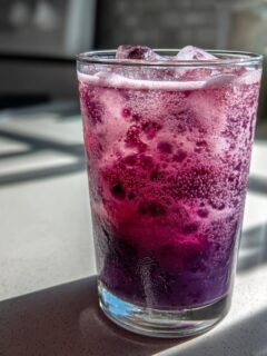 Close-up of a tall glass filled with vibrant, bubbly Blueberry Agua Fresca and ice cubes.