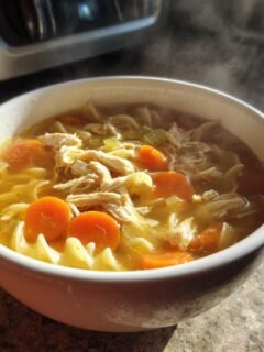 A steaming white bowl filled with Paula Deen Chicken Noodle Soup, featuring shredded chicken, bright carrots, and egg noodles in broth.